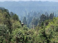 -武夷山风景名胜区-玉女峰