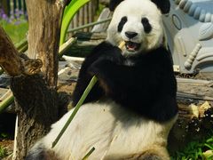 -大连森林动物园