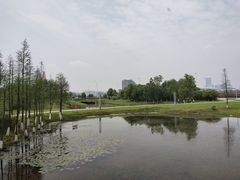 -艾溪湖湿地公园