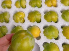 -叶氏兄弟果业(大连鲁迅店)