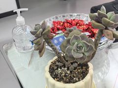 -超减·私教减肥馆(世博店)