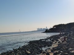 -深圳湾公园(南山区)