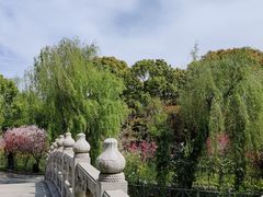 -南汇桃花村