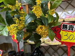 -苏州市吴中区光福窑上花果蜜饯厂