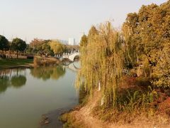 -尚贤河湿地