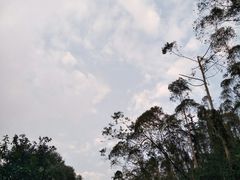 -威远炮台