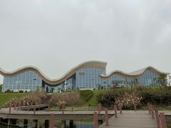 -桤木河湿地公园