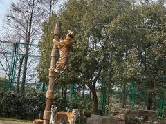 -上海野生动物园