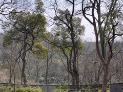 -杭州张苍水先生祠
