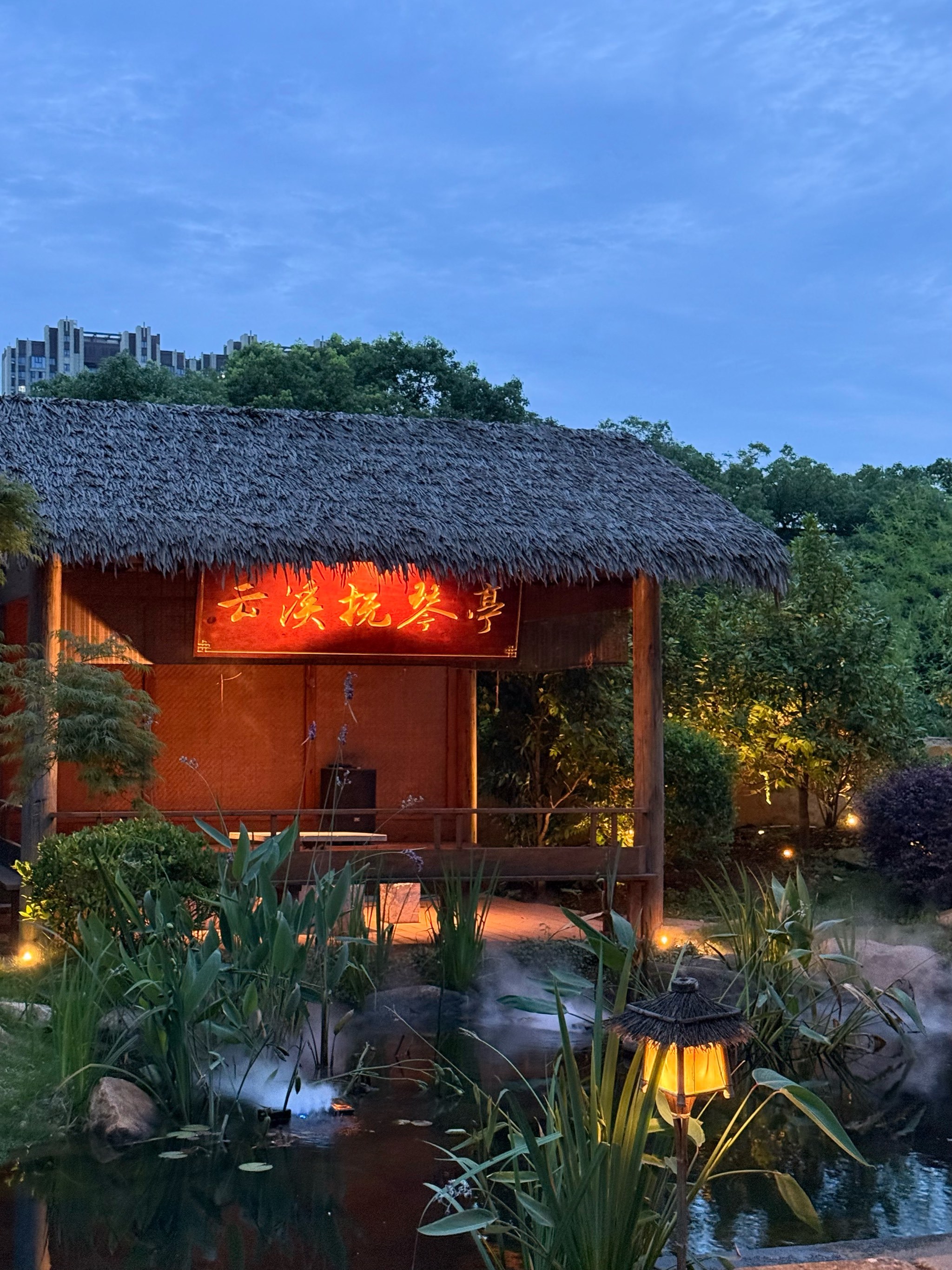 遍地都是炸鸡腿