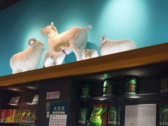 -大白羊蝎子馆(后沙峪山姆店)