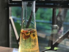 -探窝·竹笙椰子鸡(杨箕店)