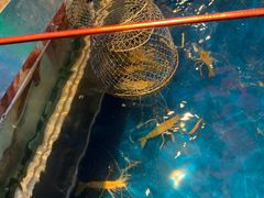 -钳真多钓虾馆·小龙虾海鲜烧烤(九六广场店)