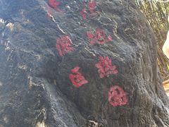 -大理地热国