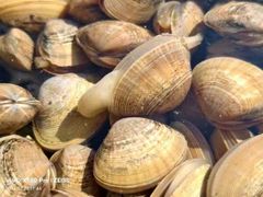 -兴隆海鲜菜馆