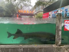 -天怡·鱼工厂(梅溪湖店)
