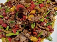 小炒驴肉-醉美东江·三文鱼·烧鸡公