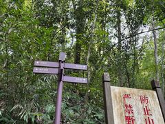-杭州黄龙洞
