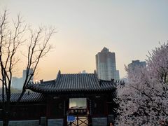 -迎泽公园