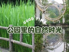 -成都市活水公园