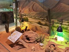 -正佳雨林生态植物园