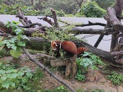 -杭州少年儿童公园