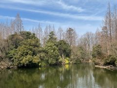 -上海滨江森林公园