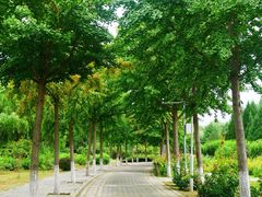 -东升八家郊野公园