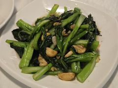 -新蜀会四川豆花(五羊店)