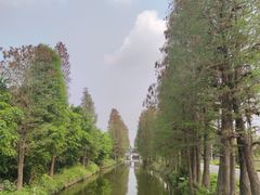 -万顷园艺世界