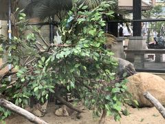 -灵玲国际马戏城