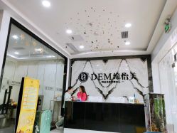 -DEM缔怡美科技美容