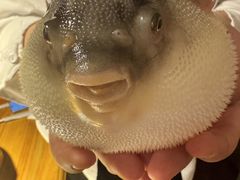 -永安鱼庄·镇江菜(丁卯店)