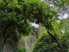-窦圌山风景区