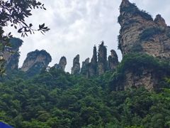 -大连天门山国家森林公园