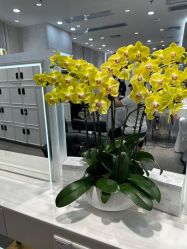-Kraemer Paris  苏豪路易士·嘉玛发廊