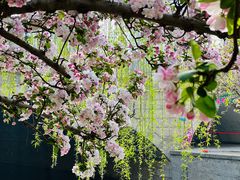 -海棠花溪(元大都城垣遗址公园)