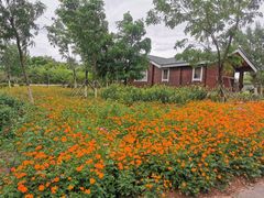 -永定河休闲森林公园