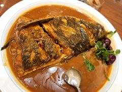 -鲁宴·鲁煨黄河生态大鲤鱼(月坛店)