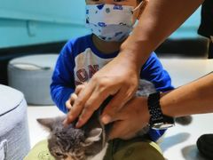 -猫色咖啡·猫咖