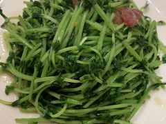 鸡油腊味炒豆苗-潮界(LU·ONE凯德晶萃广场店)