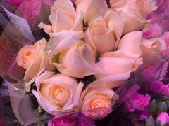 -花鸟鱼虫鲜花绿植市场(玉泉路店)