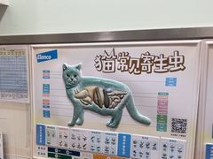 -佳雯宠物医院·皮肤科·内外科(春晓路分院)