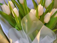 -循礼门鲜花花市(武汉循礼门店)