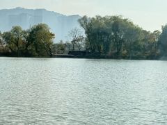 -长兴太湖图影湿地文化园
