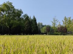 -北坞公园