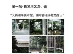 -日照海滨国家森林公园
