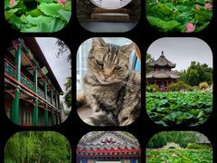 -莲池书院博物馆