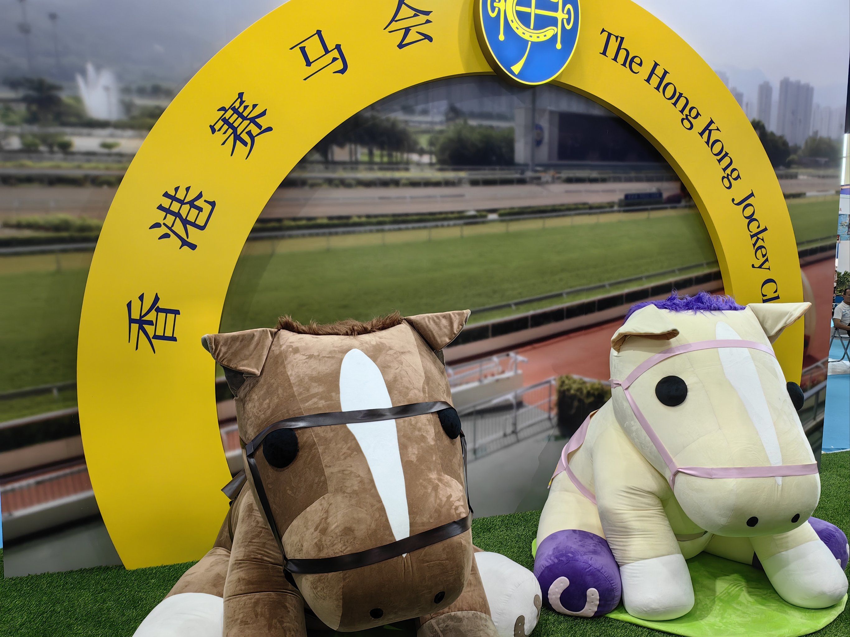 香港赛马会🏇