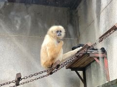 -昆明动物园